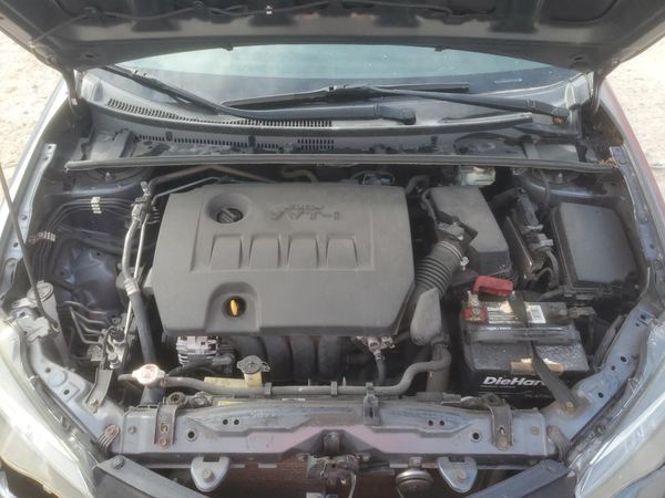 2019 TOYOTA COROLLA