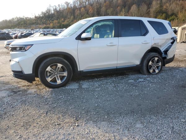 2025 HONDA PILOT EX-L, EX-L HPD