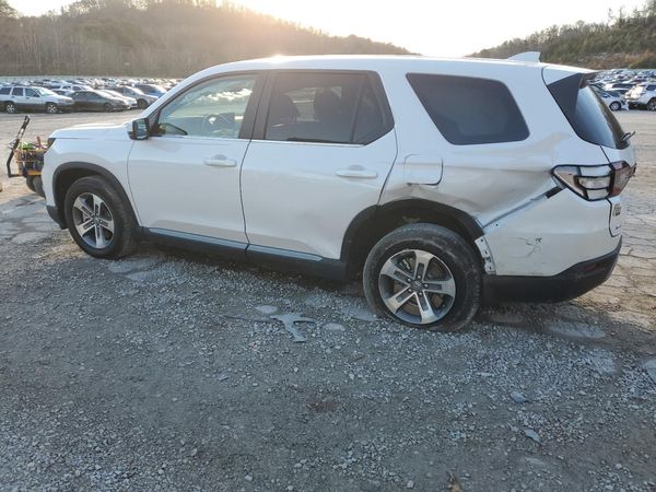 2025 HONDA PILOT EX-L, EX-L HPD