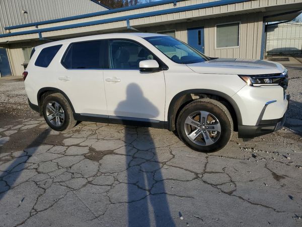 2025 HONDA PILOT EX-L, EX-L HPD