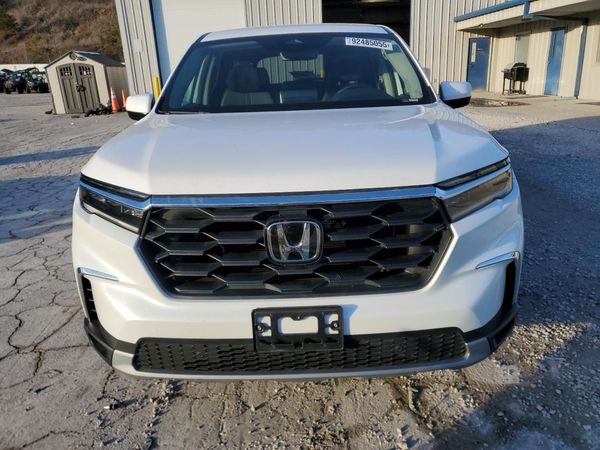 2025 HONDA PILOT EX-L, EX-L HPD