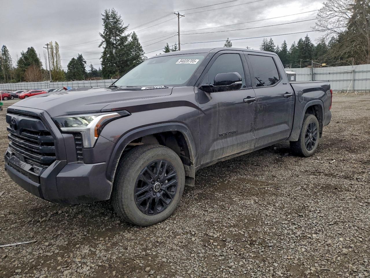 2024 TOYOTA TUNDRA
