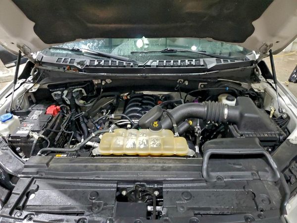 2019 FORD F150