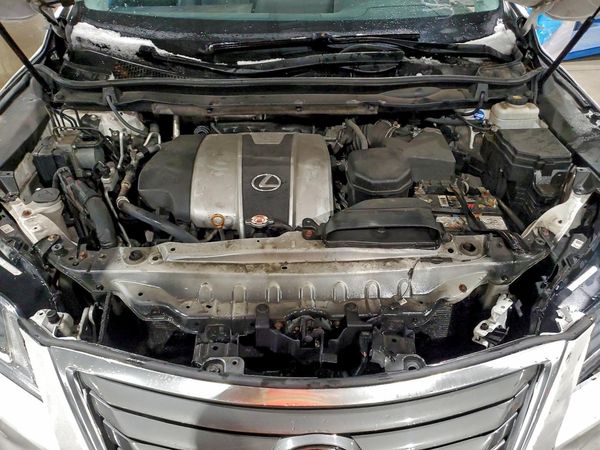 2019 LEXUS RX