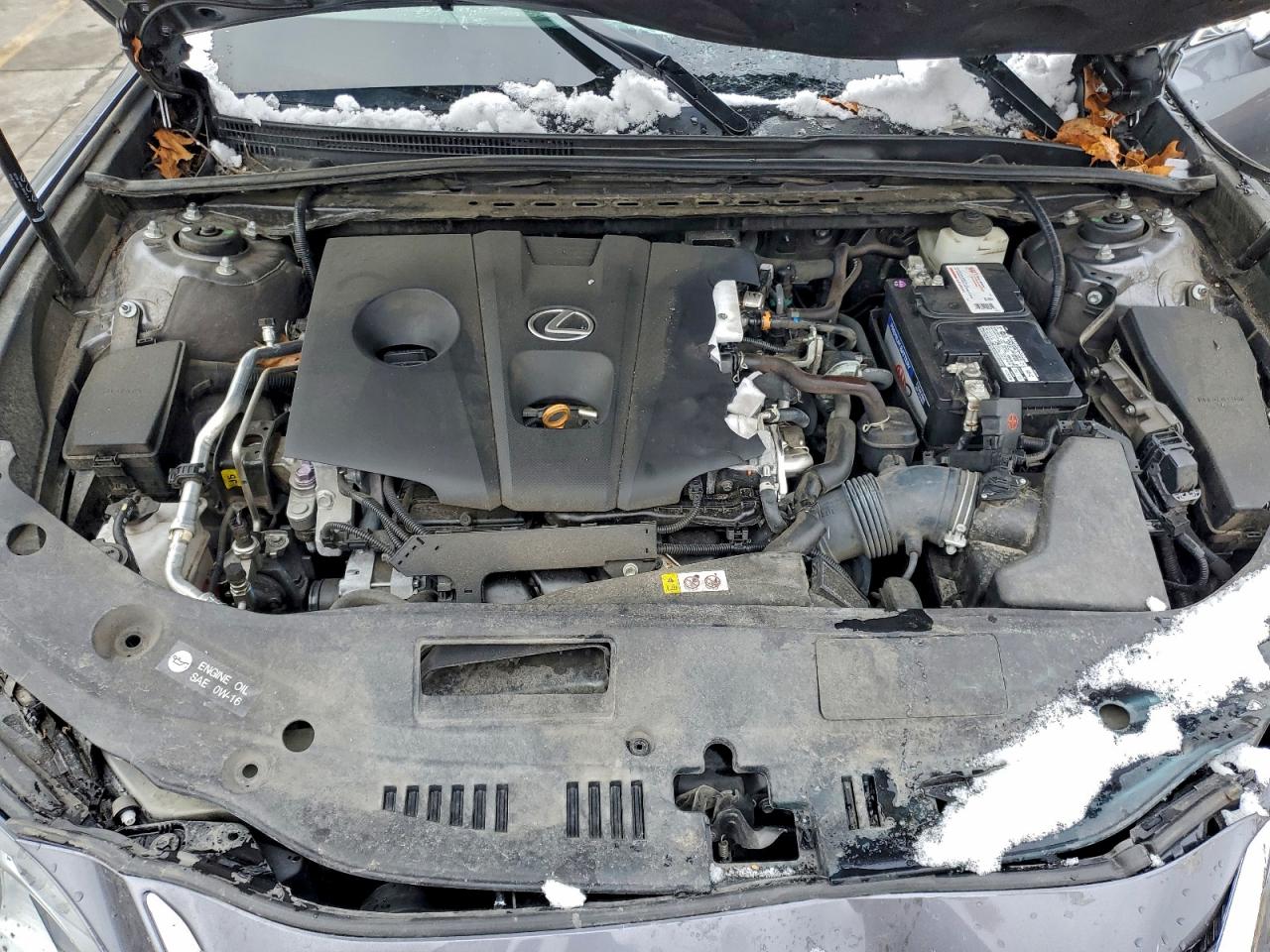 2021 LEXUS ES 250 350 Premium