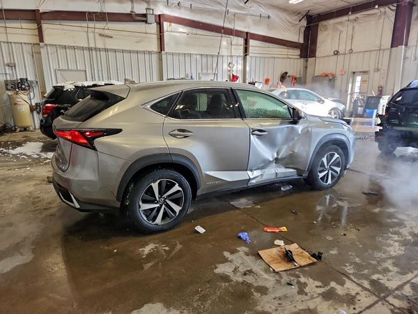 2019 LEXUS NX 300H Luxury