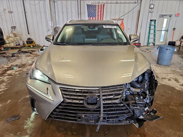 2019 LEXUS NX 300H Luxury