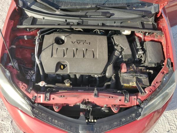 2019 TOYOTA COROLLA L/LE/SE/XLE/XSE