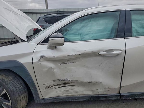 2019 LEXUS UX