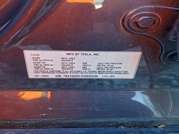 2023 TESLA MODEL Y
