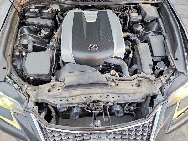 2019 LEXUS GS 350/350 F Sport