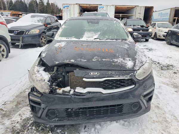 2019 KIA FORTE