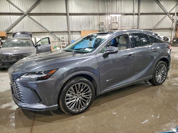 2025 LEXUS RX