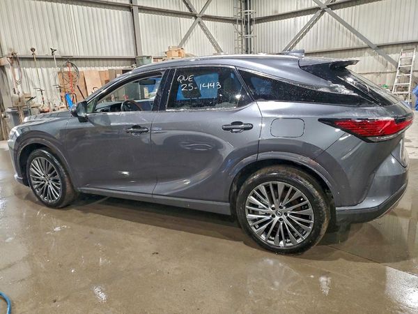 2025 LEXUS RX