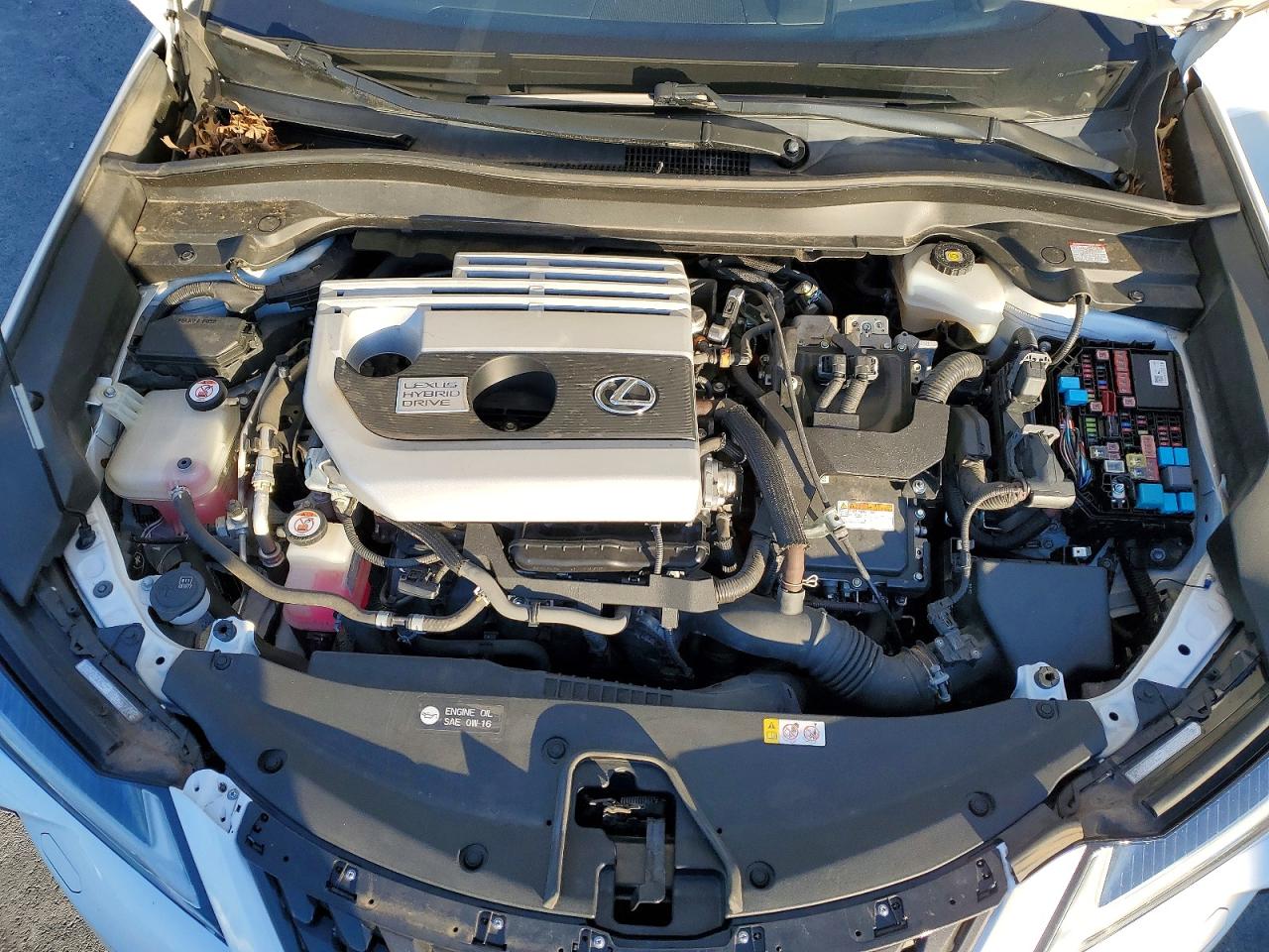 2019 LEXUS UX