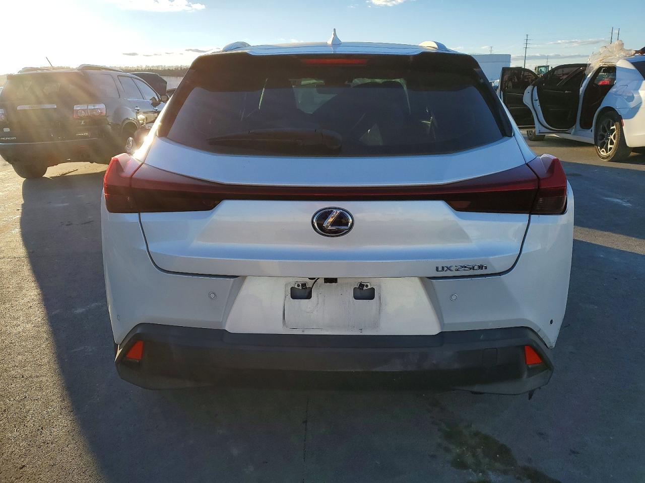2019 LEXUS UX