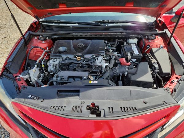 2019 TOYOTA CAMRY L/LE/SE/XLE