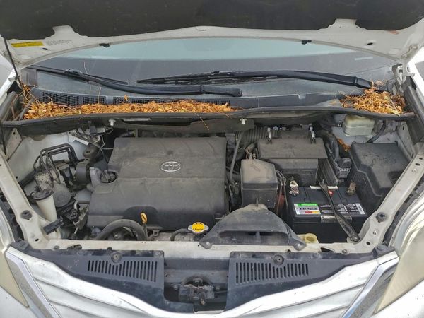 2016 TOYOTA SIENNA