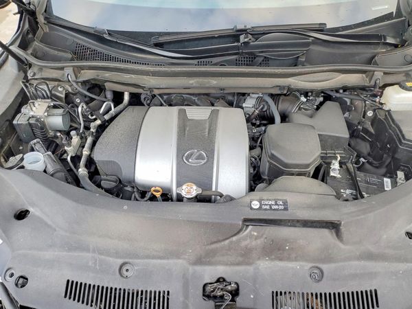 2019 LEXUS RX