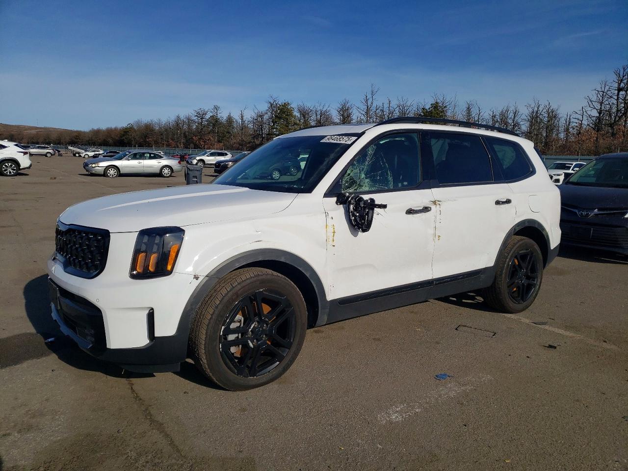 2025 KIA TELLURIDE
