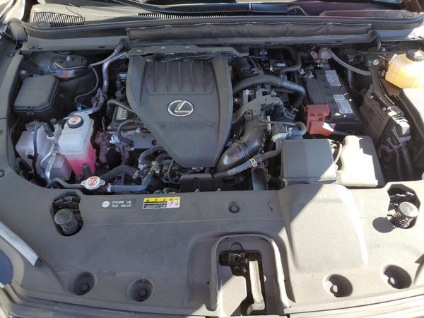 2023 LEXUS RX