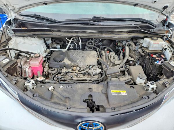 2024 TOYOTA SIENNA