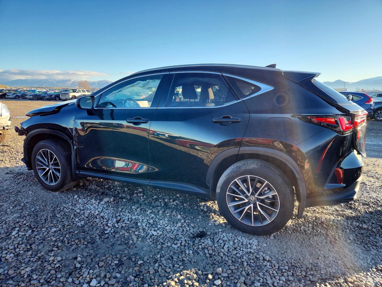 2025 LEXUS NX 350H 350h Premium