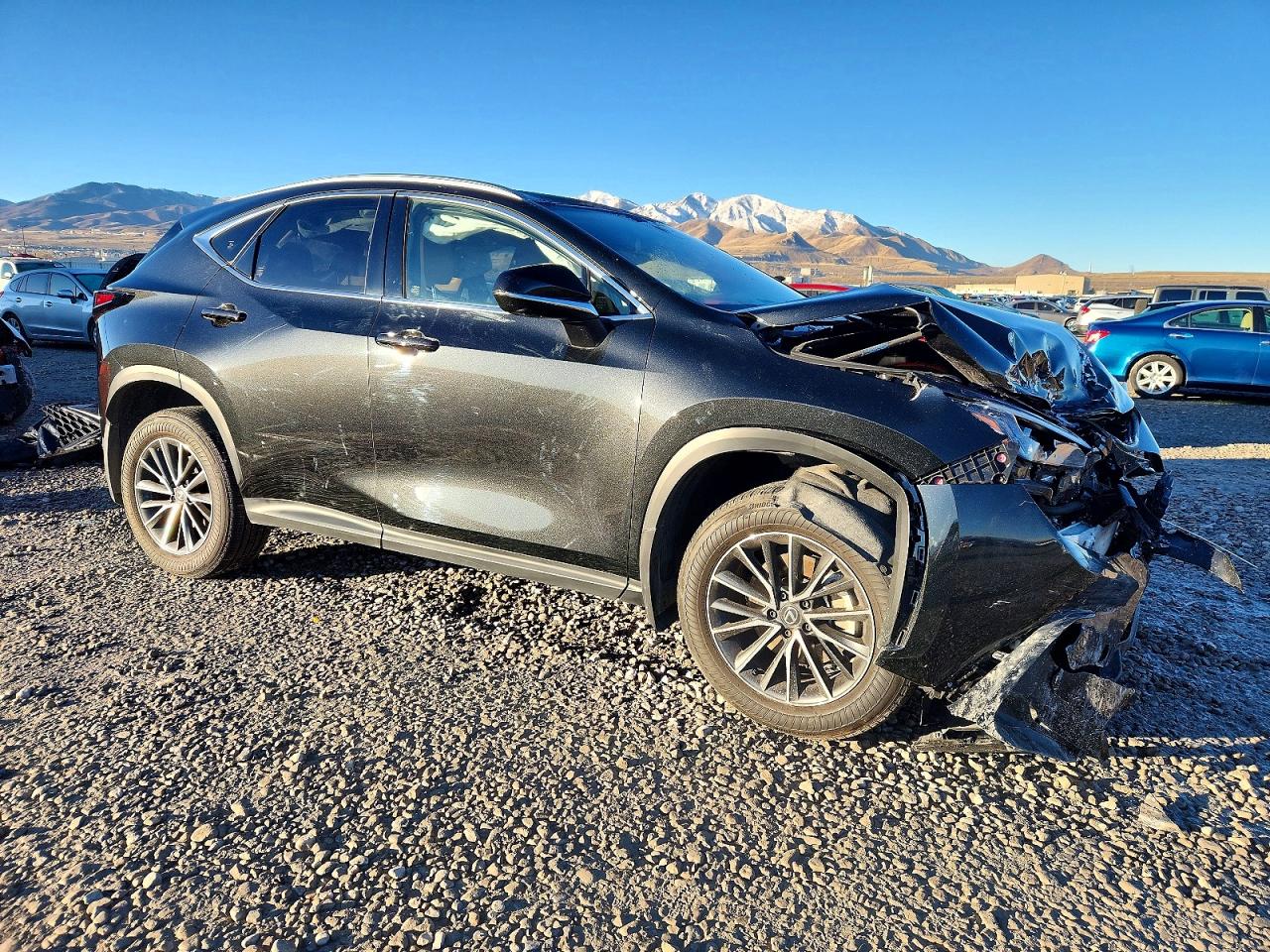 2025 LEXUS NX 350H 350h Premium