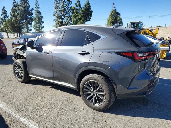 2024 LEXUS NX 350 Base