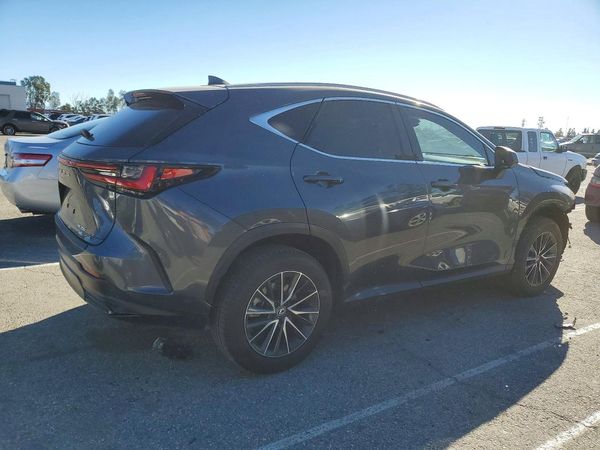 2024 LEXUS NX 350 Base