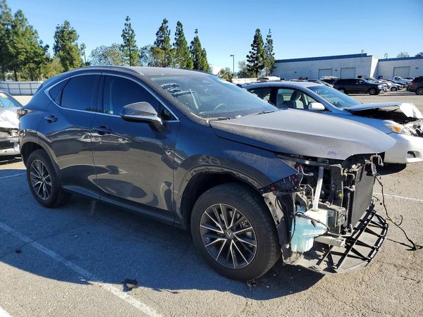 2024 LEXUS NX 350 Base