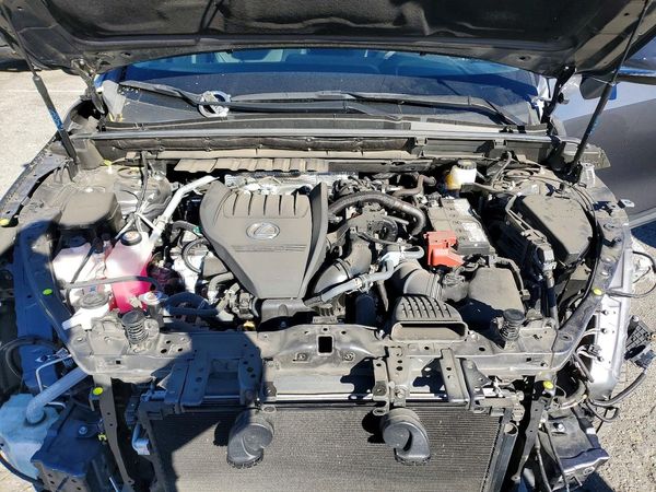 2024 LEXUS NX 350 Base