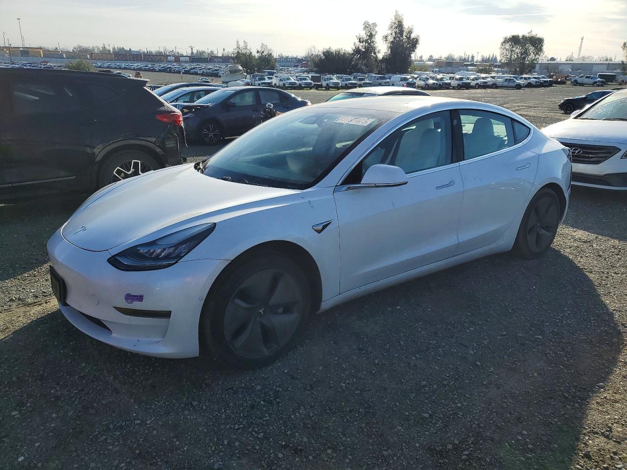 2019 TESLA MODEL 3
