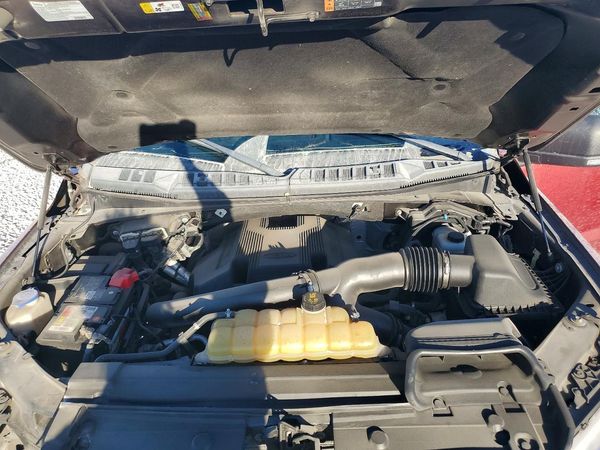 2019 FORD F150