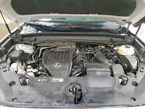 2024 LEXUS TX 500h